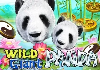 Wild Giant Panda